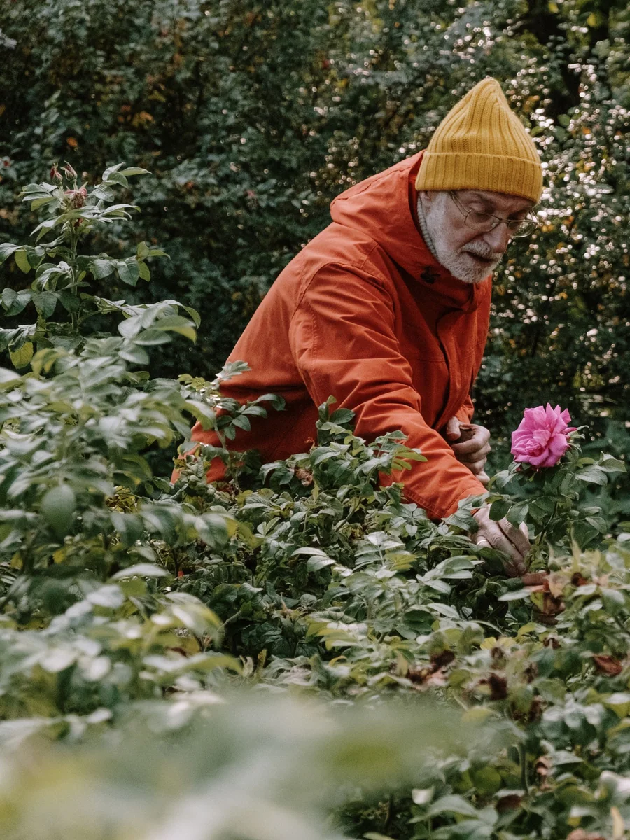 An adult and child examining flowers together in a garden.